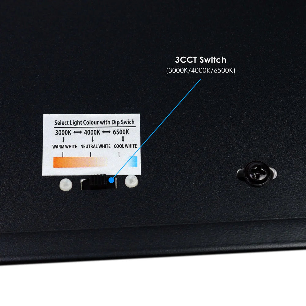 Black LED Y Shape Pendant Light 3CCT