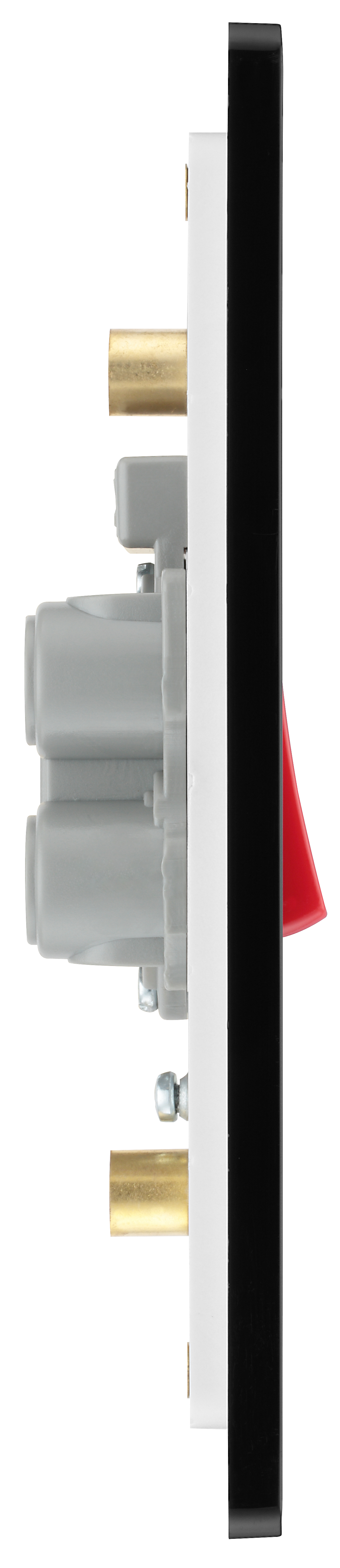 45 Amp Double Pole Switches