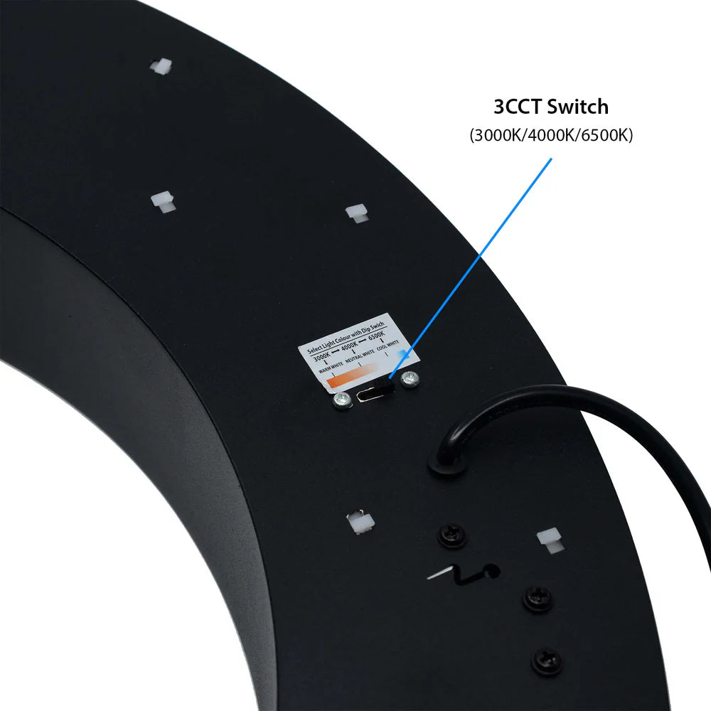 Black LED Halo Ring Pendant Light 3CCT